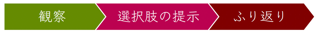観察→選択肢の提示→ふり返り